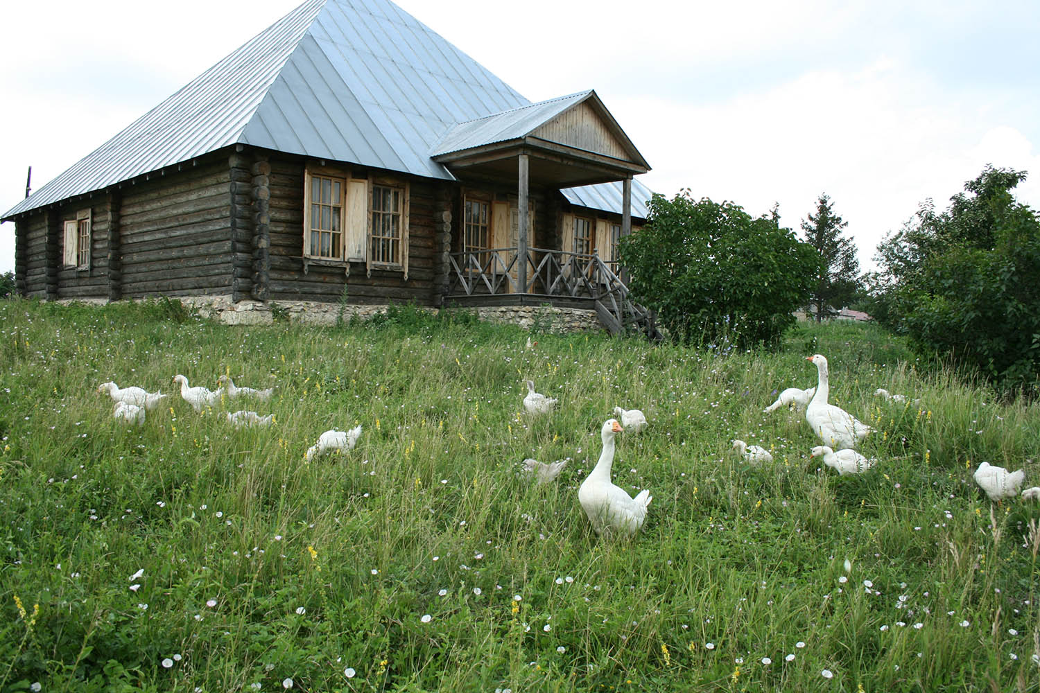 Елецкий уезд